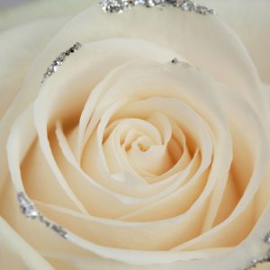 Glitter Rose
